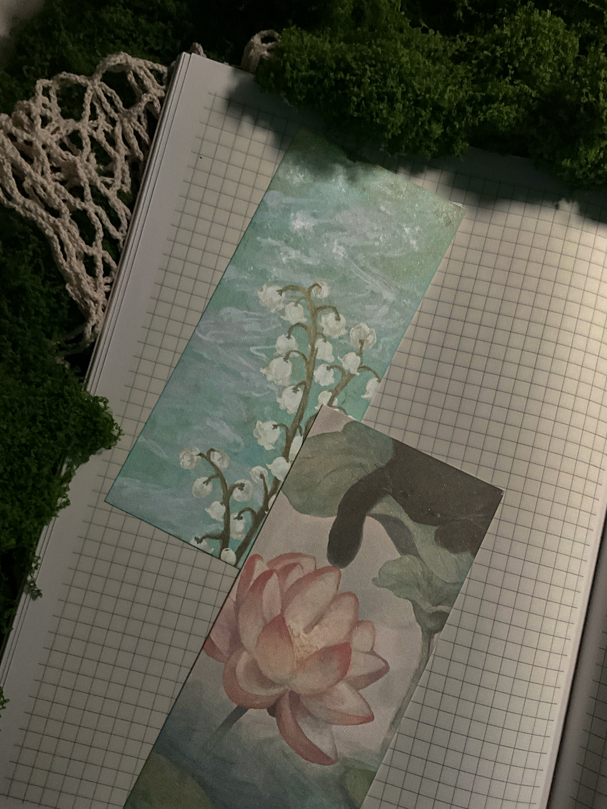 Senescence Bookmark